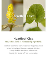 Our Vegan Heartleaf Cica Toner [MANYO] Korean Beauty - K Beauty 4 Biz