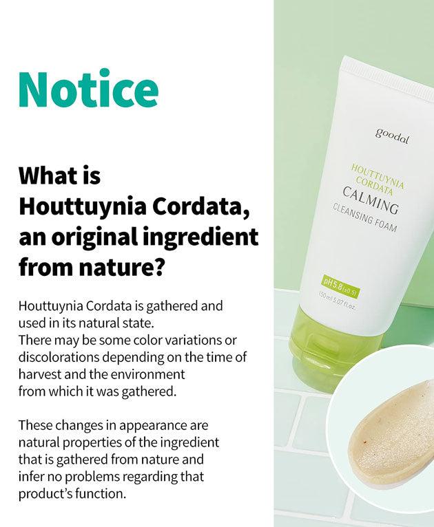 Heartleaf Houttuynia Calming PH Balancing Cleansing Foam [GOODAL] Korean Beauty - K Beauty 4 Biz