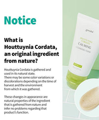Heartleaf Houttuynia Calming PH Balancing Cleansing Foam [GOODAL] Korean Beauty - K Beauty 4 Biz